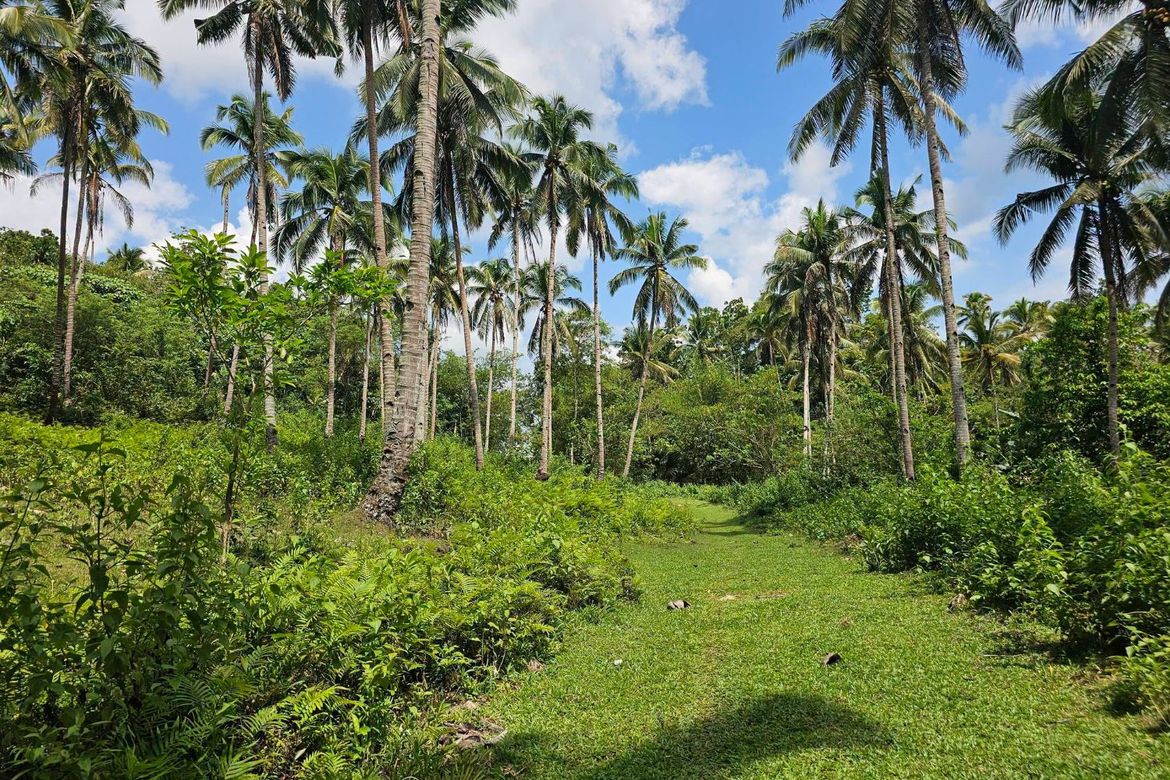Land for Sale in Del Carmen Sur, Balilihan, Bohol