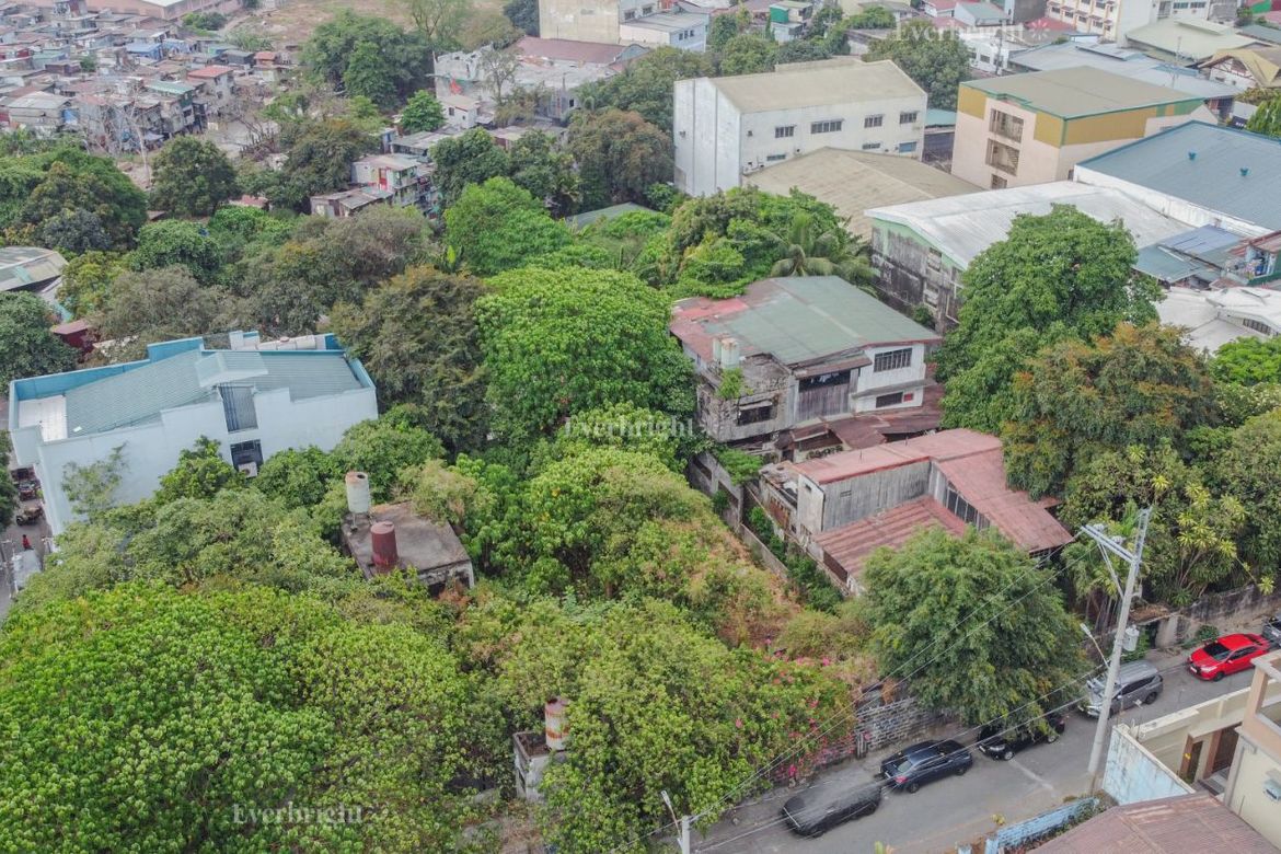 Land for Sale in Del Monte, Quezon City, Metro Manila – photo 7