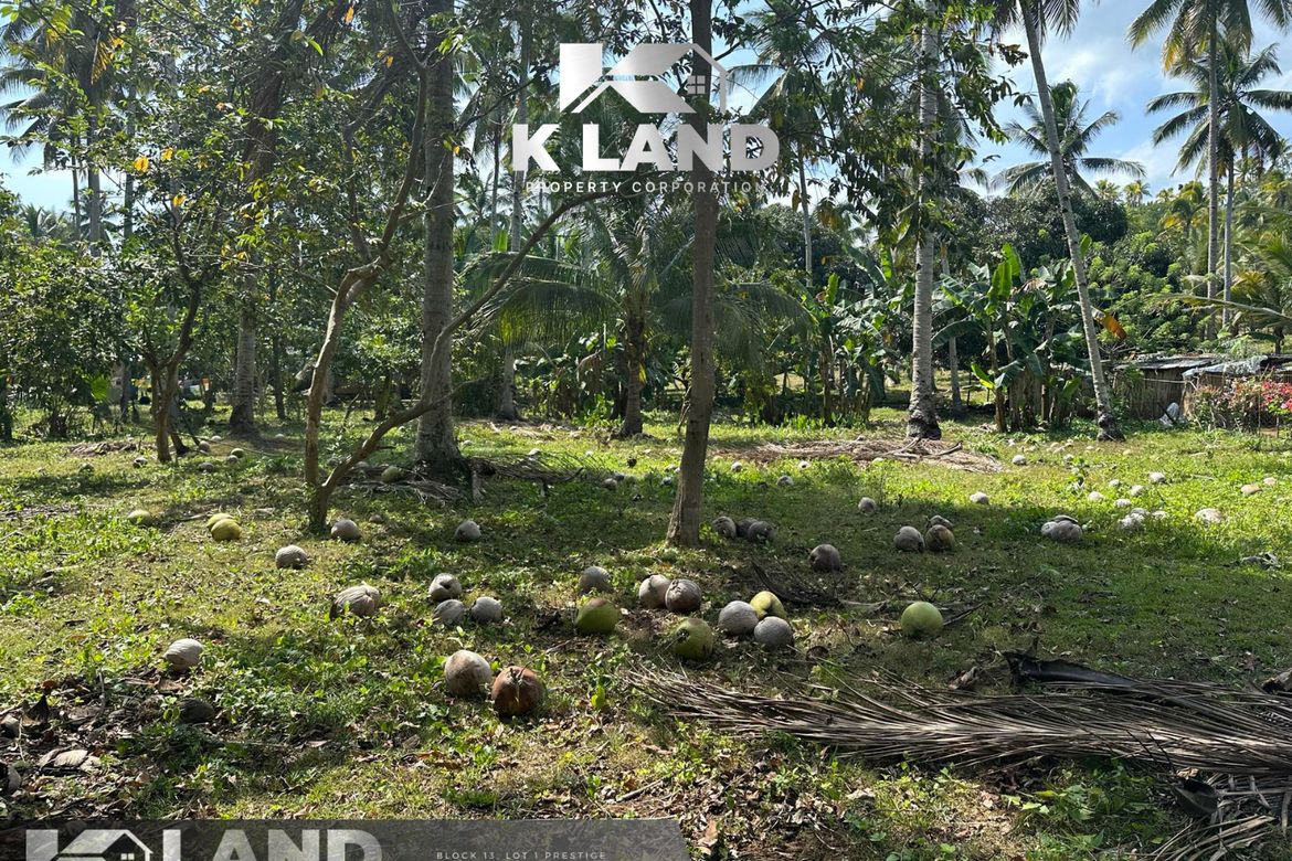 Land for Sale in Del Monte, Samal, Davao del Norte – photo 3