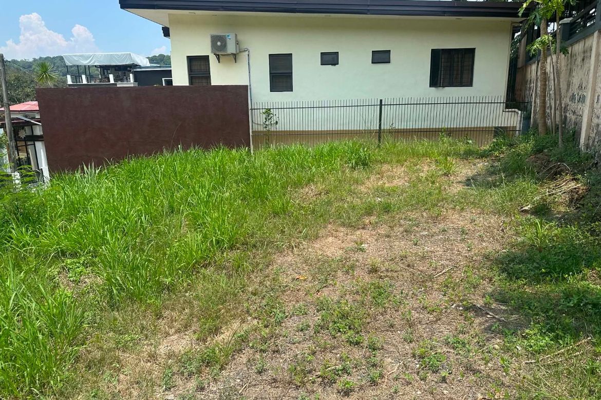 Land for Sale in Dela Paz, Antipolo, Rizal – photo 2