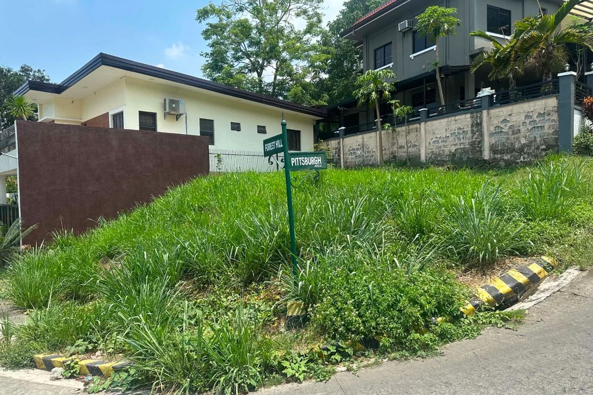 Land for Sale in Dela Paz, Antipolo, Rizal – photo 3