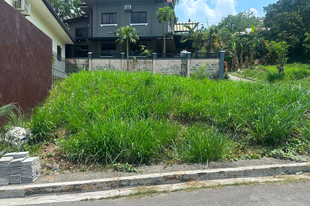 Land for Sale in Dela Paz, Antipolo, Rizal – photo 4