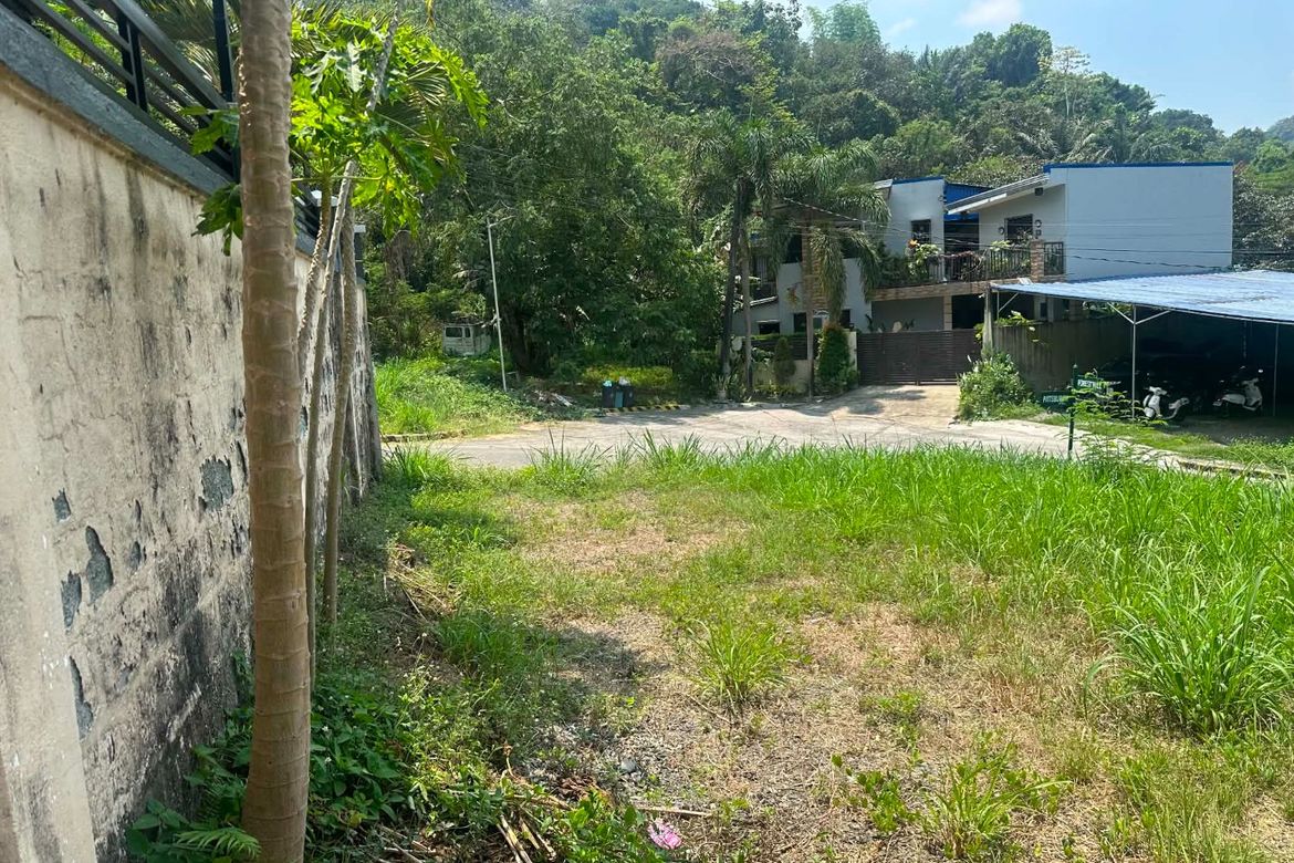 Land for Sale in Dela Paz, Antipolo, Rizal – photo 5
