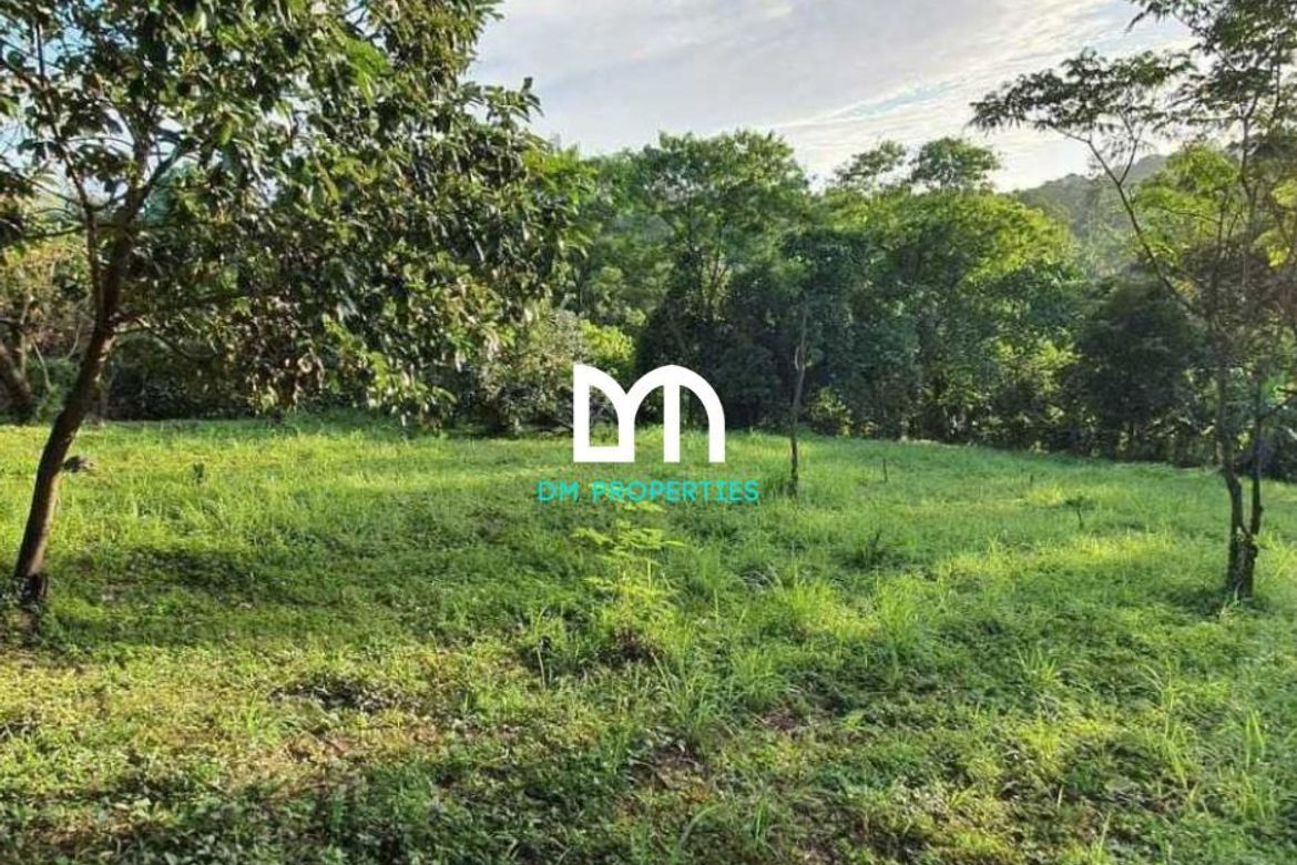 Land for Sale in Dela Paz, Antipolo, Rizal – photo 3
