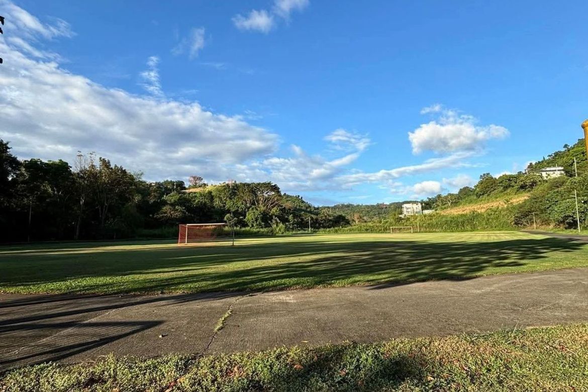Land for Sale in Dela Paz, Antipolo, Rizal – photo 2