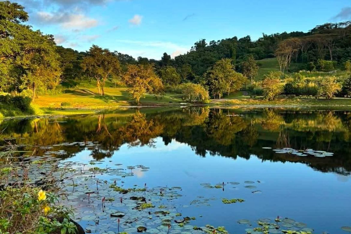 Land for Sale in Dela Paz, Antipolo, Rizal – photo 7