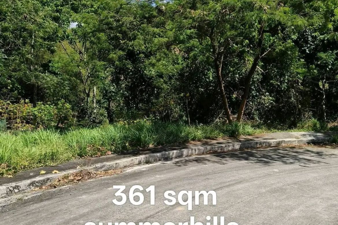 Land for Sale in Dela Paz, Antipolo, Rizal – photo 2
