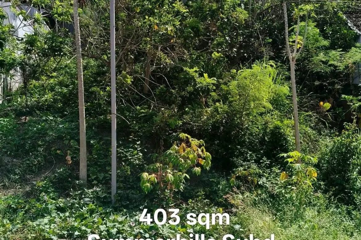 Land for Sale in Dela Paz, Antipolo, Rizal – photo 4