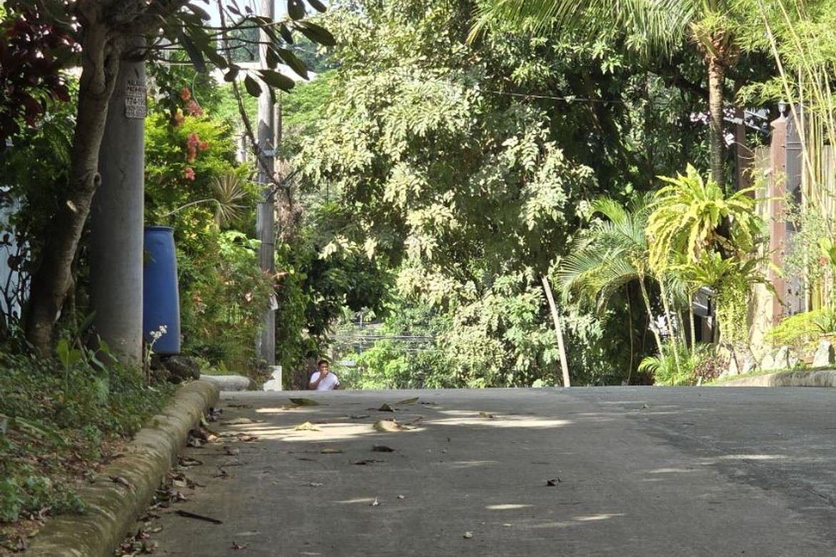 Land for Sale in Dela Paz, Antipolo, Rizal – photo 2
