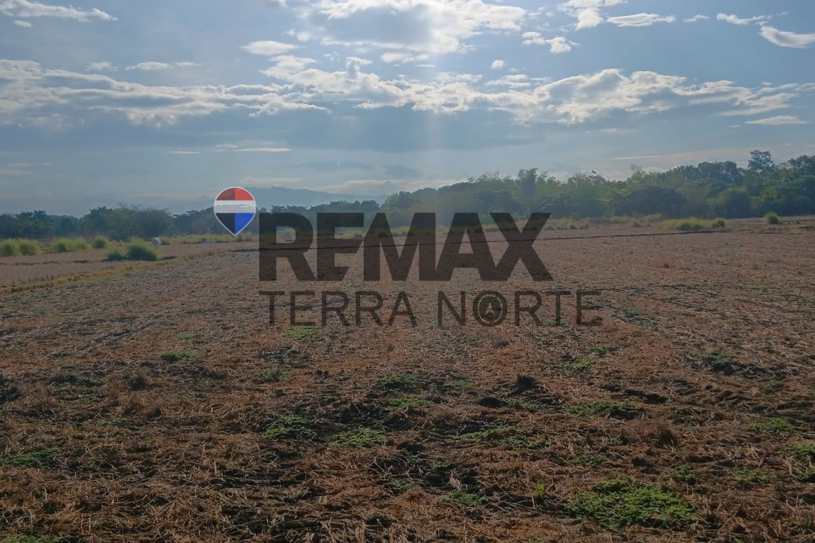 Land for Sale in Dilan, Pozorrubio, Pangasinan