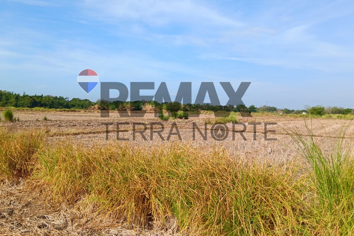 Land for Sale in Dilan, Pozorrubio, Pangasinan – photo 2