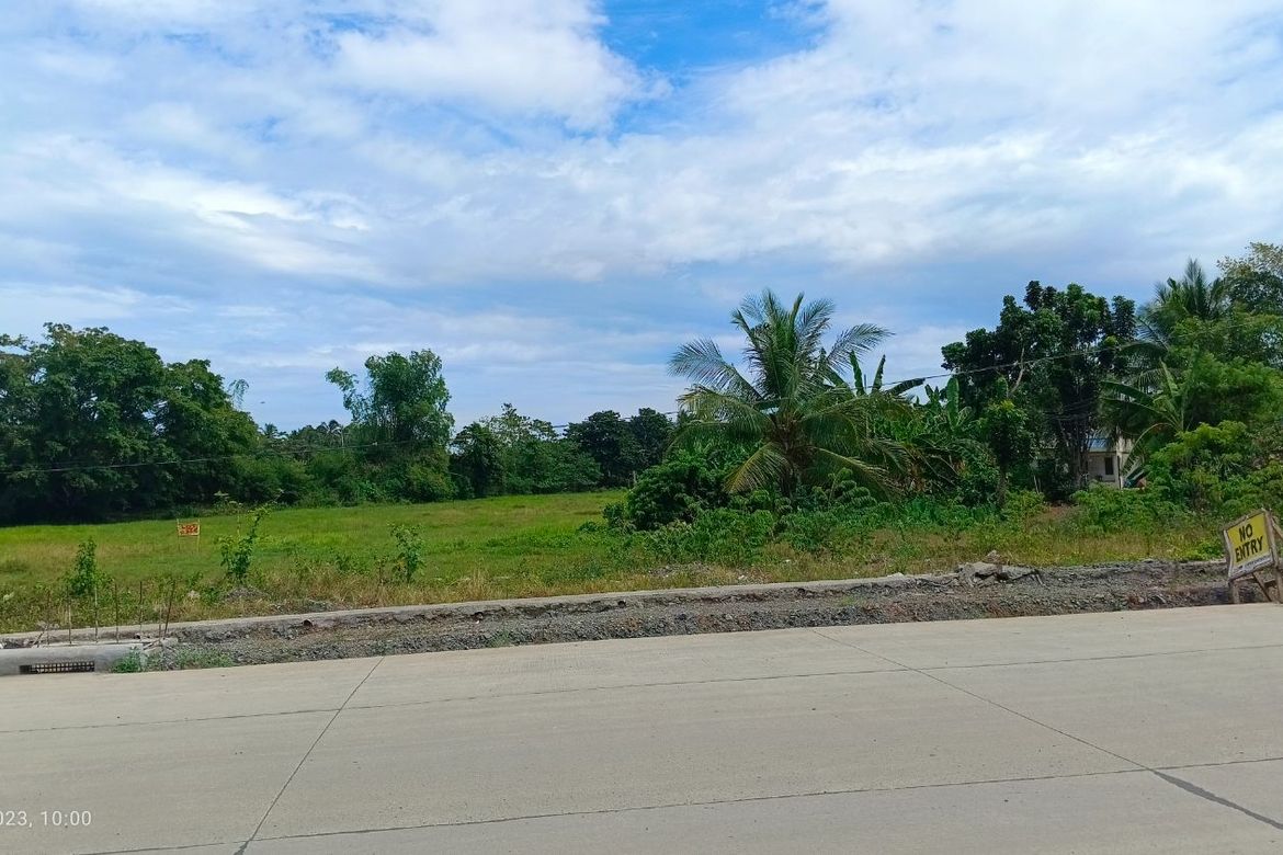 Land for Sale in Dinginan, Roxas, Capiz – photo 5