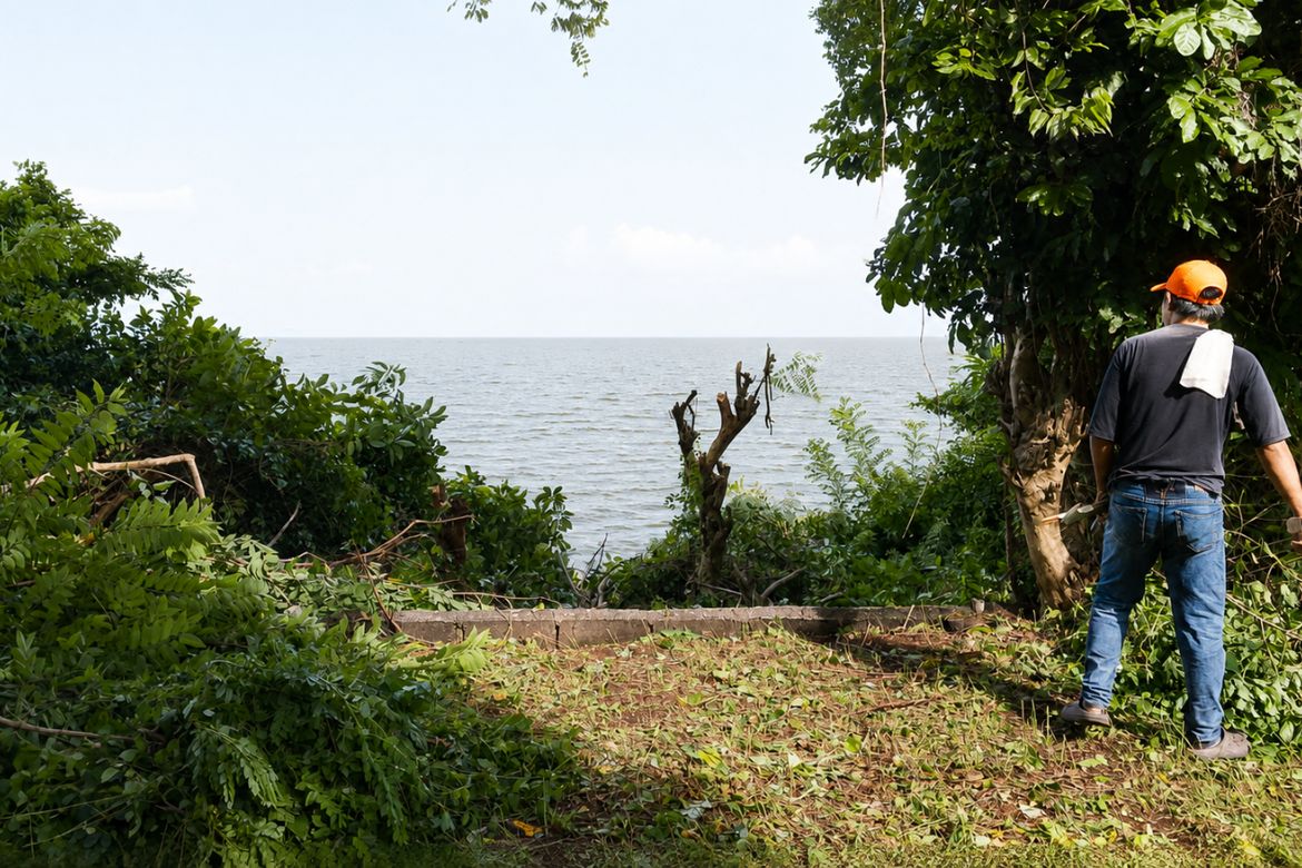 Land for Sale in District IV, Mataas na Kahoy, Batangas – photo 3