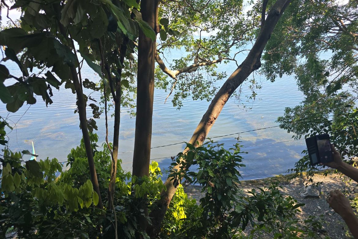 Land for Sale in District IV, Mataas na Kahoy, Batangas – photo 4