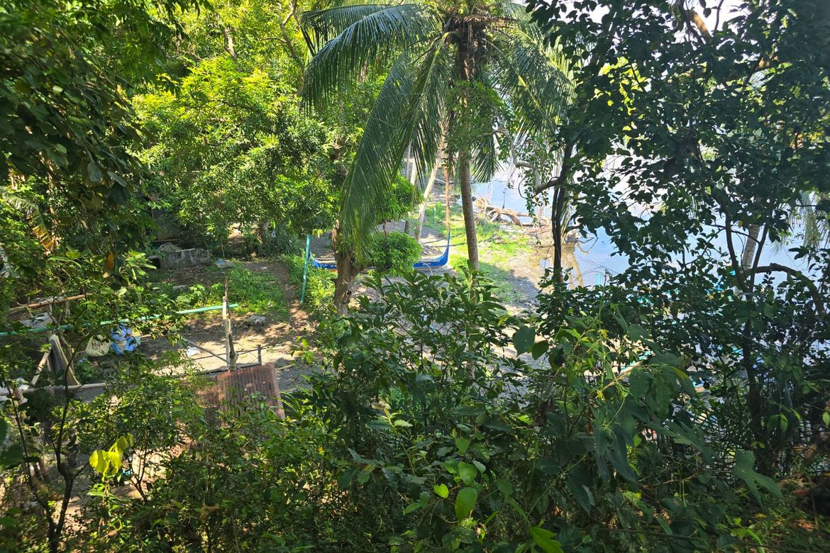 Land for Sale in District IV, Mataas na Kahoy, Batangas – photo 6