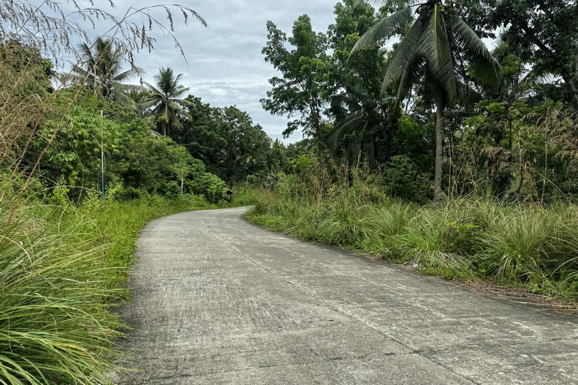 Land for Sale in Diwan, Dipolog, Zamboanga del Norte