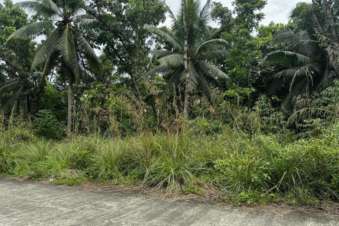Land for Sale in Diwan, Dipolog, Zamboanga del Norte – photo 3
