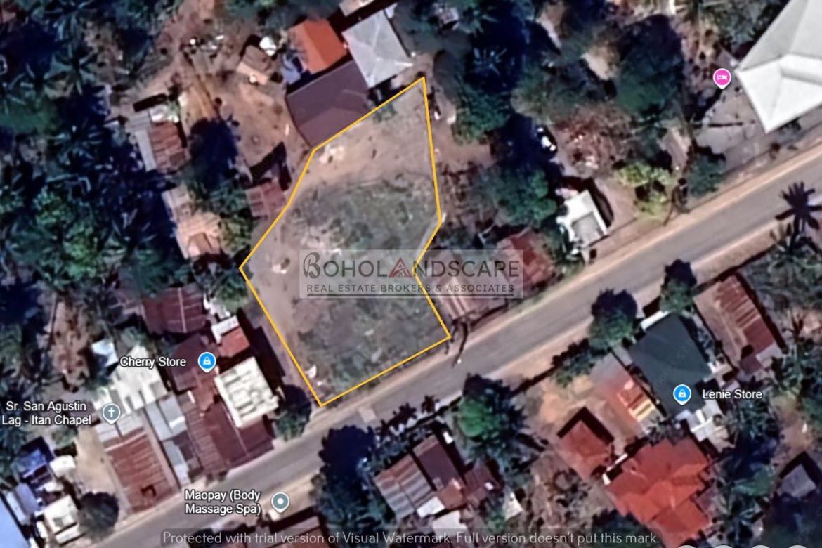 Land for Sale in Doljo, Panglao, Bohol