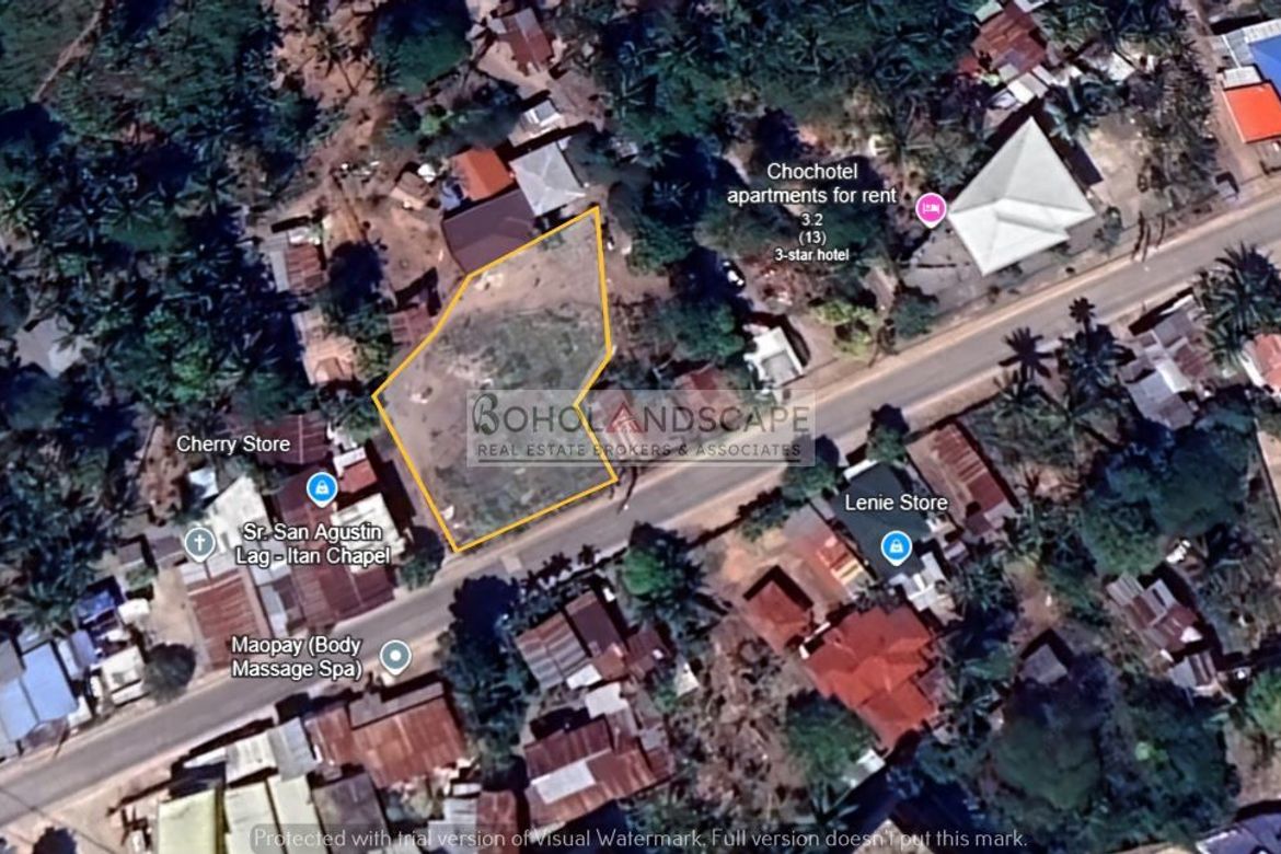Land for Sale in Doljo, Panglao, Bohol – photo 3