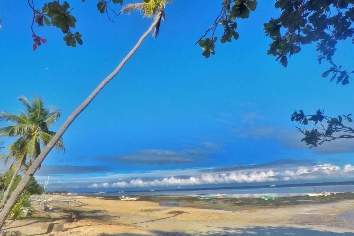 Land for Sale in Doljo, Panglao, Bohol