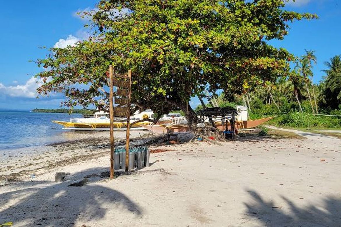 Land for Sale in Doljo, Panglao, Bohol – photo 4