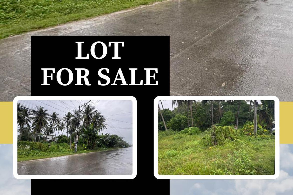 Land for Sale in Doljo, Panglao, Bohol