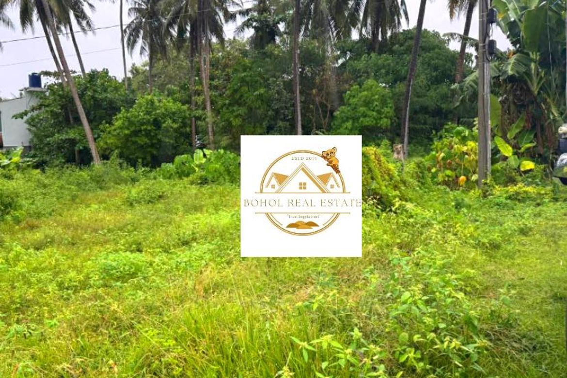 Land for Sale in Doljo, Panglao, Bohol – photo 3