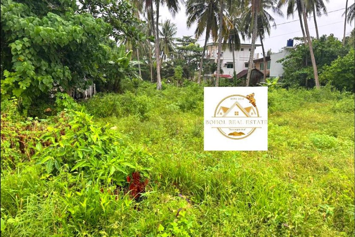Land for Sale in Doljo, Panglao, Bohol – photo 6