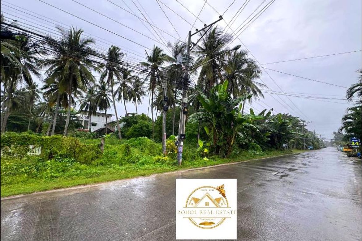 Land for Sale in Doljo, Panglao, Bohol – photo 7