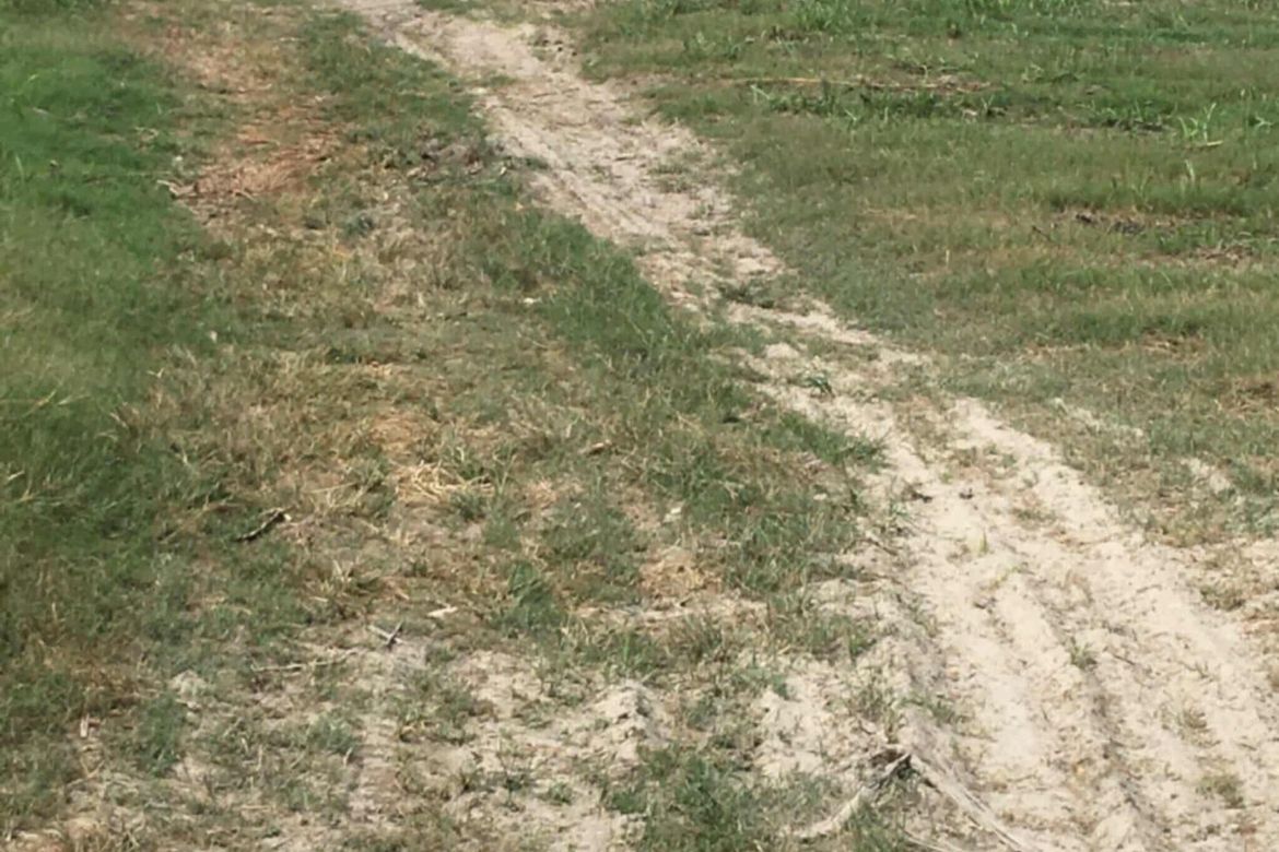 Land for Sale in Dolores, Bacolor, Pampanga – photo 4