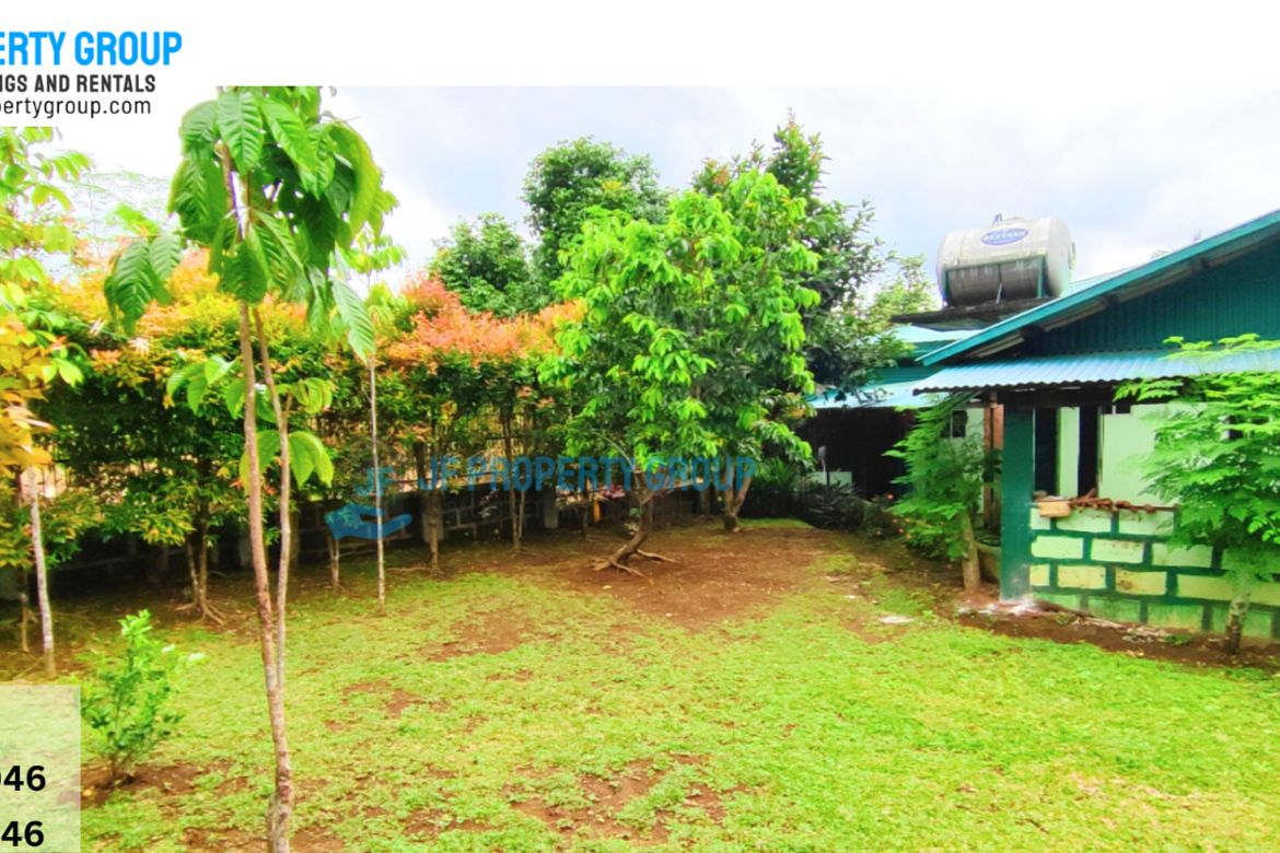 Land for Sale in Dolores, Ormoc, Leyte – photo 6