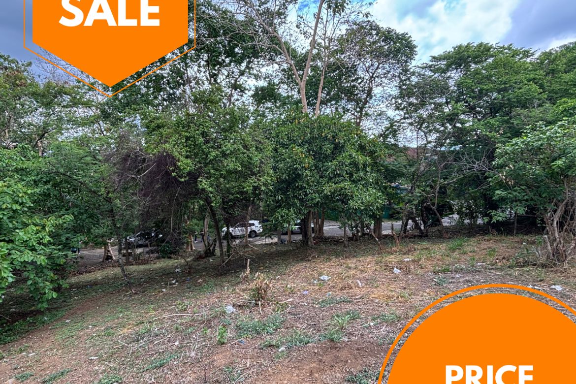 Land for Sale in Dolores, Taytay, Rizal