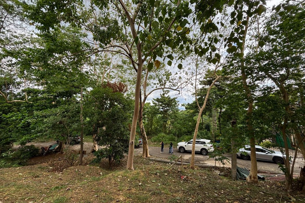 Land for Sale in Dolores, Taytay, Rizal – photo 3