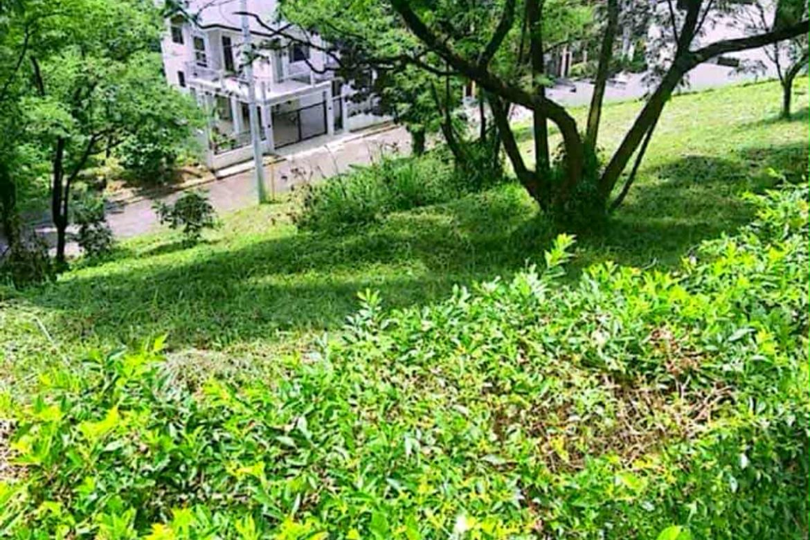 Land for Sale in Dolores, Taytay, Rizal – photo 2