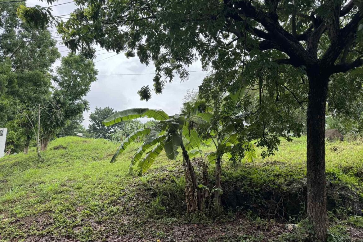 Land for Sale in Dolores, Taytay, Rizal – photo 2