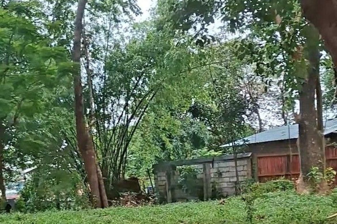 Land for Sale in Dolores, Taytay, Rizal – photo 8