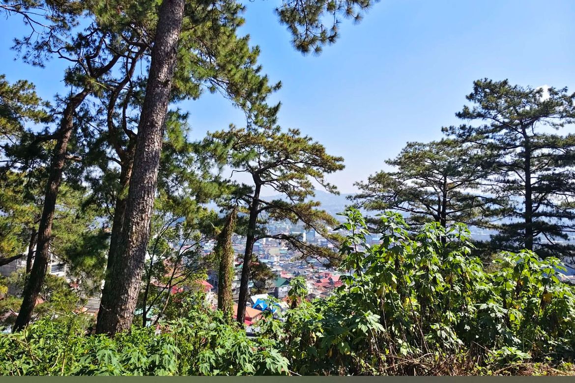 Land for Sale in Dominican Hill-Mirador, Baguio, Benguet – photo 2