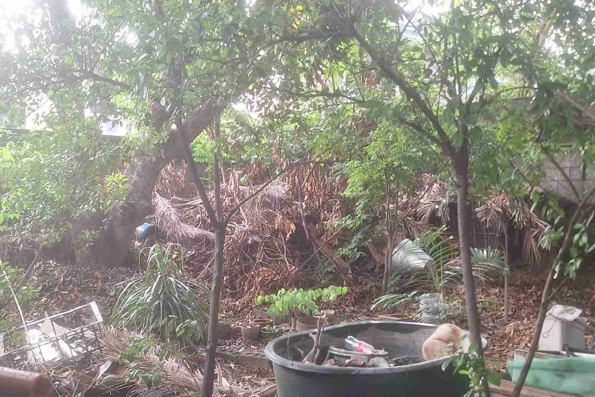 Land for Sale in Don Bosco, Parañaque, Metro Manila – photo 2