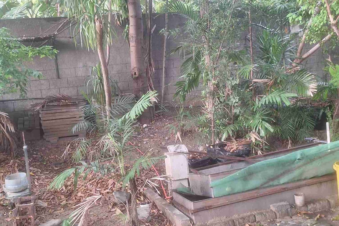 Land for Sale in Don Bosco, Parañaque, Metro Manila – photo 3
