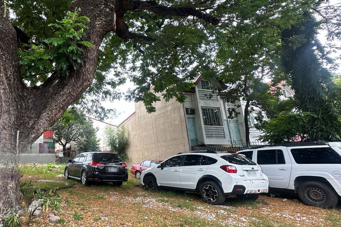 Land for Sale in Don Bosco, Parañaque, Metro Manila