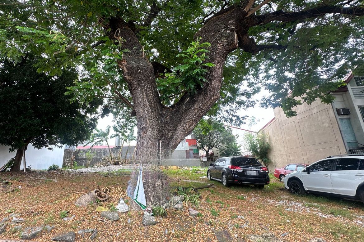 Land for Sale in Don Bosco, Parañaque, Metro Manila – photo 3