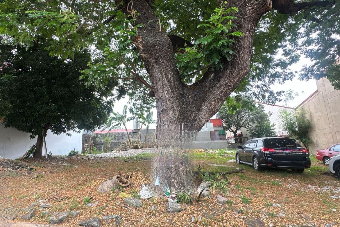 Land for Sale in Don Bosco, Parañaque, Metro Manila – photo 5