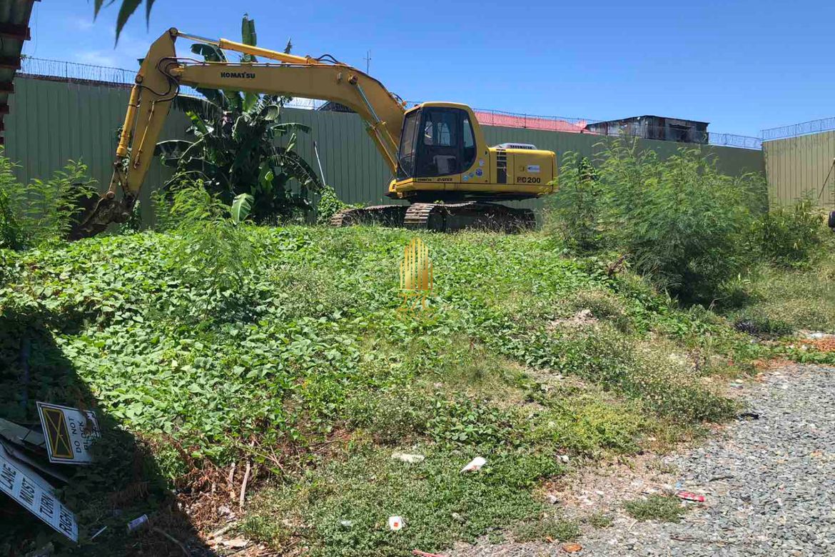 Land for Sale in Don Bosco, Parañaque, Metro Manila – photo 3