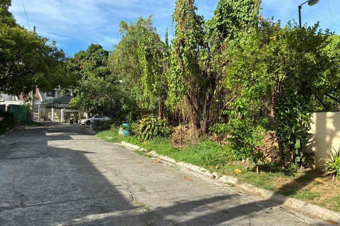 Land for Sale in Don Bosco, Parañaque, Metro Manila