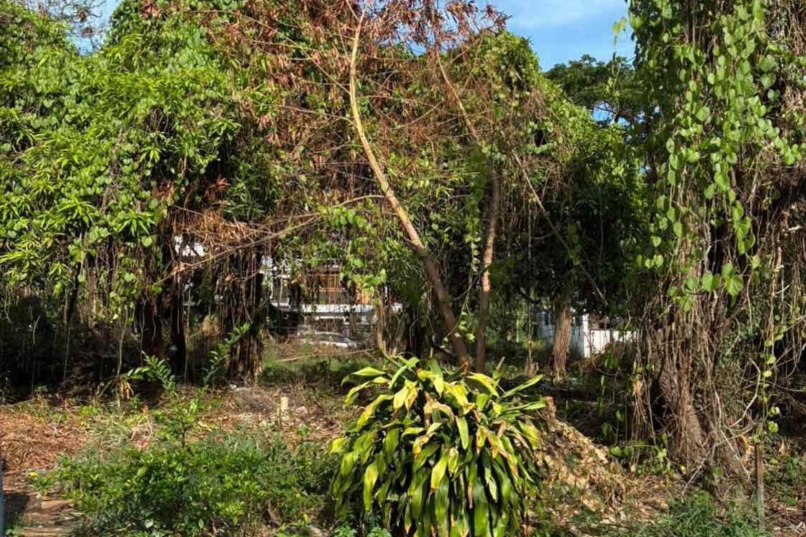 Land for Sale in Don Bosco, Parañaque, Metro Manila – photo 3
