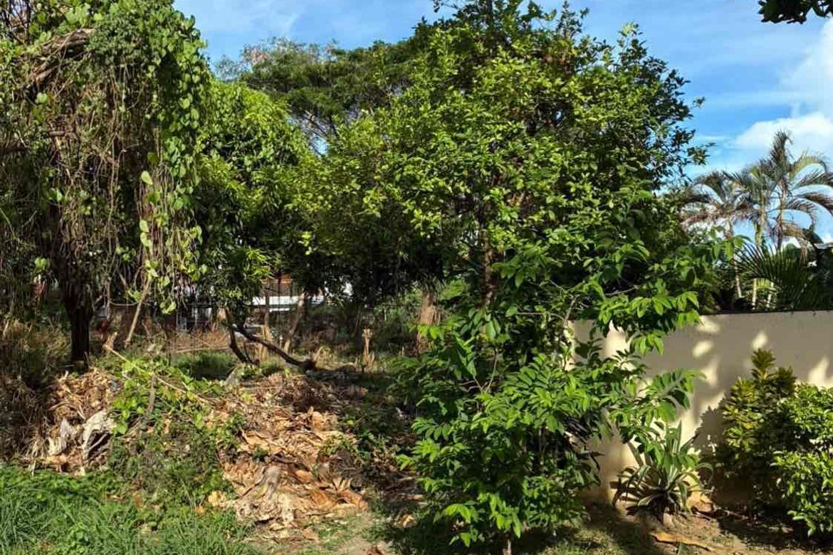 Land for Sale in Don Bosco, Parañaque, Metro Manila – photo 4