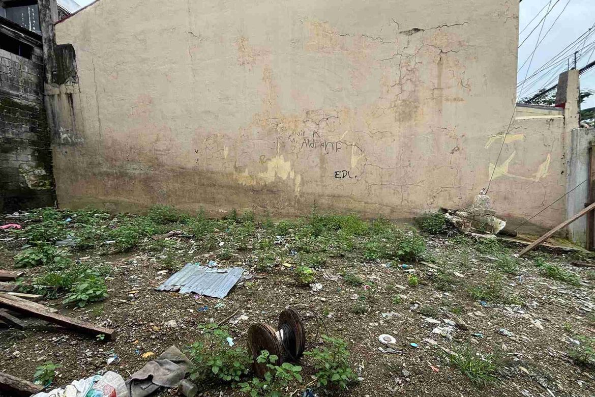Land for Sale in Don Bosco, Parañaque, Metro Manila – photo 2