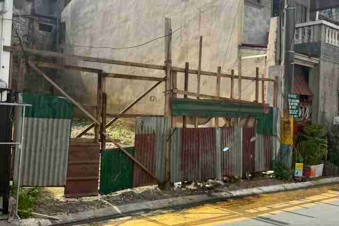Land for Sale in Don Bosco, Parañaque, Metro Manila – photo 3