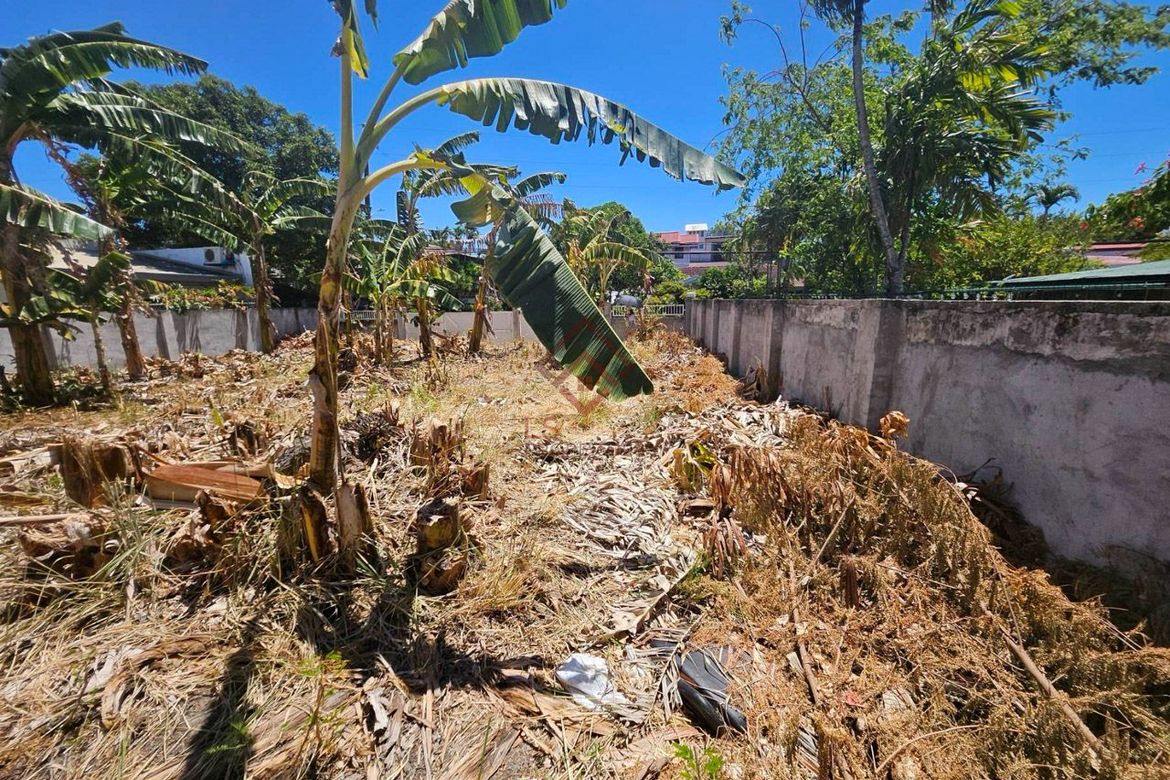 Land for Sale in Don Bosco, Parañaque, Metro Manila – photo 7