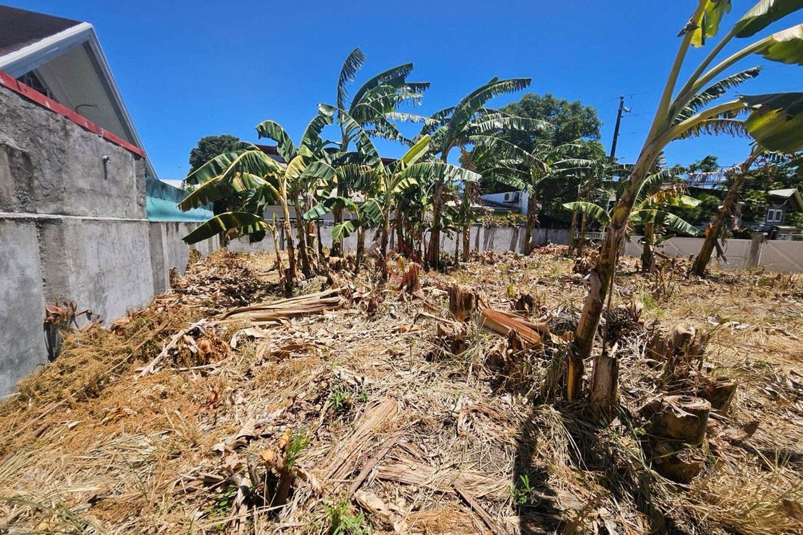 Land for Sale in Don Bosco, Parañaque, Metro Manila – photo 8